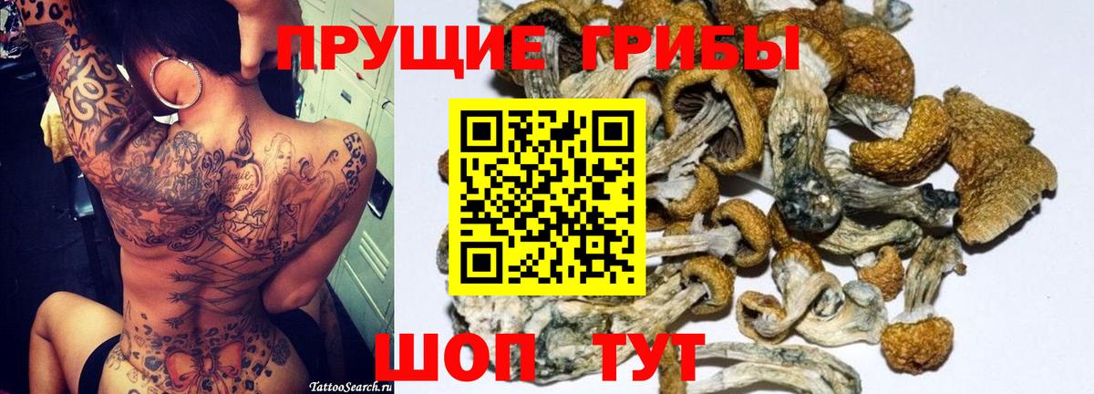 Галлюциногенные грибы Cubensis Ангарск