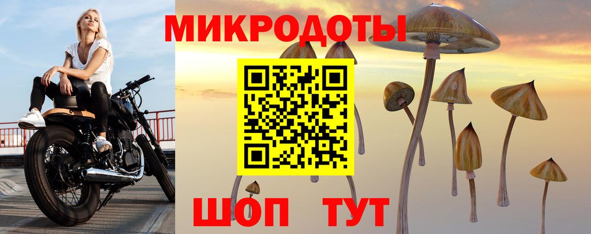 Псилоцибиновые грибы Cubensis  Вход с VPN  Ангарск 